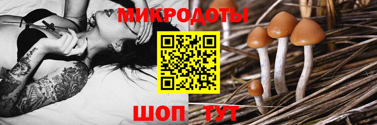 Конопля  Вейп ТГК  Вход с VPN  Меф   Тайшет  КОКАИН  ГАШ  APVP СОЛЬ   Экстази 